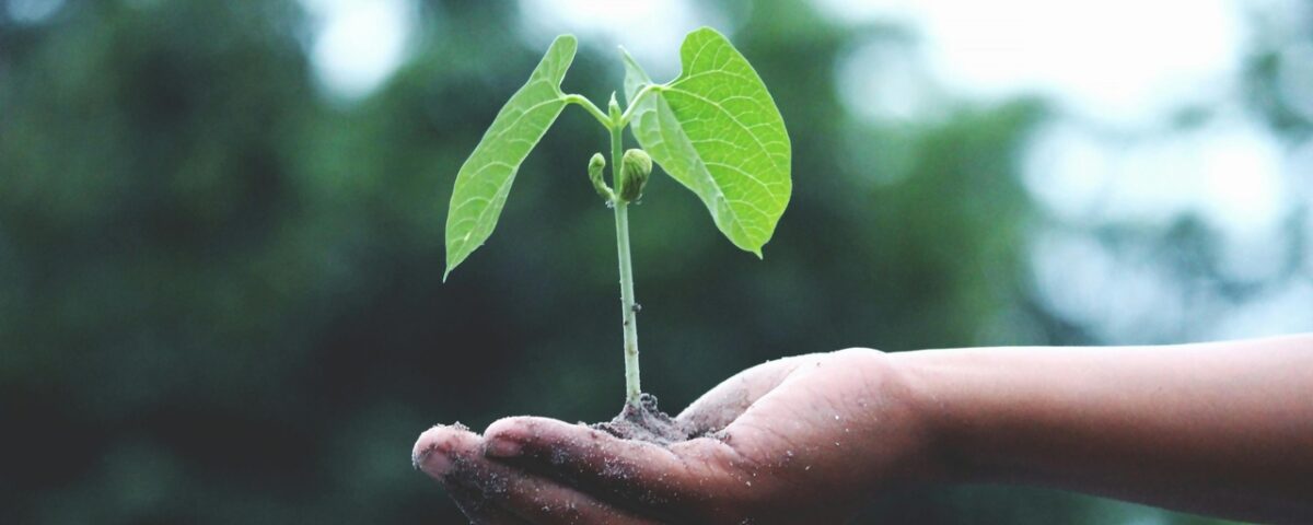 jornada ambiental