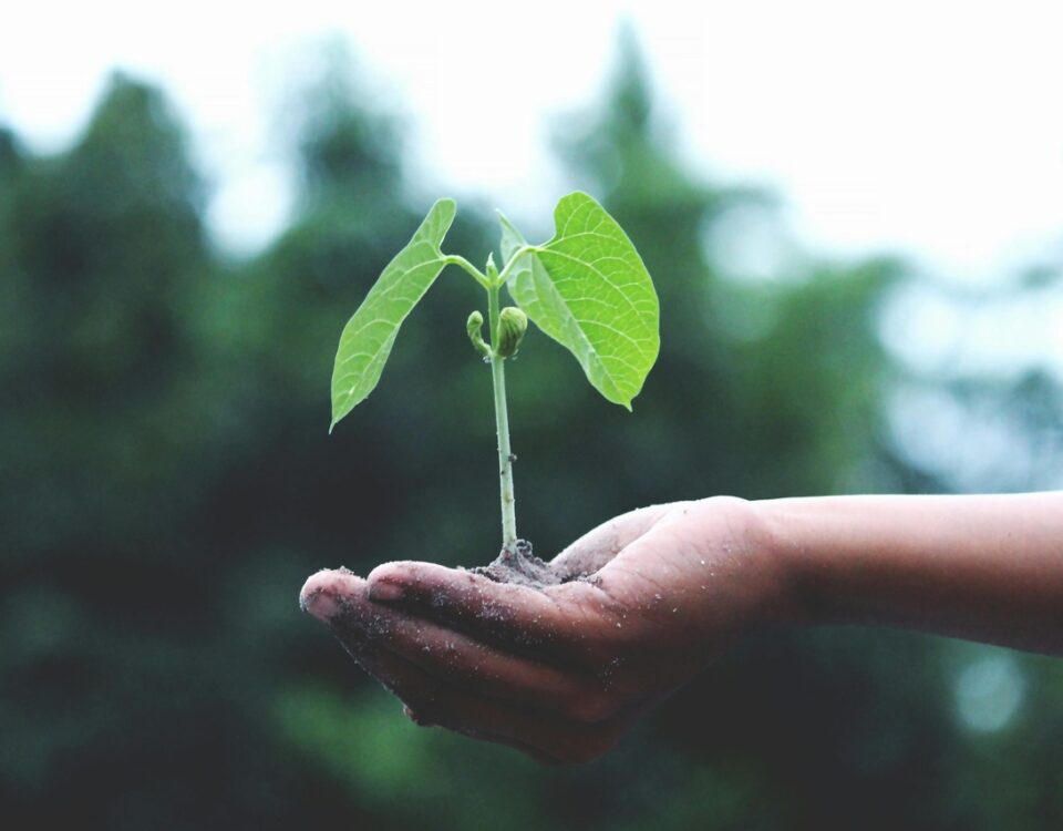 jornada ambiental