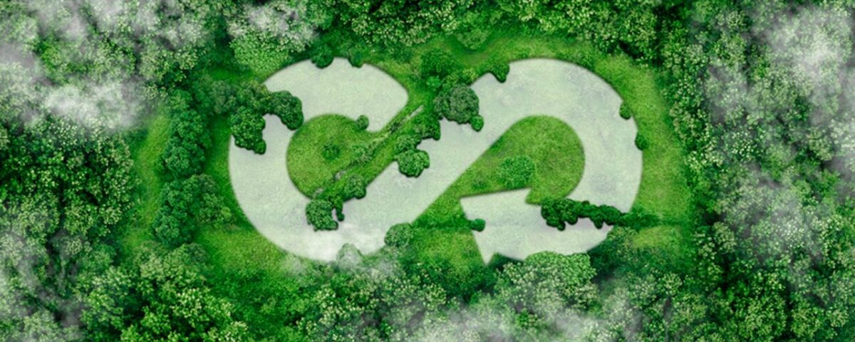 economia circular
