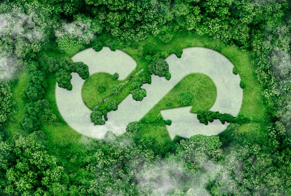 economia circular